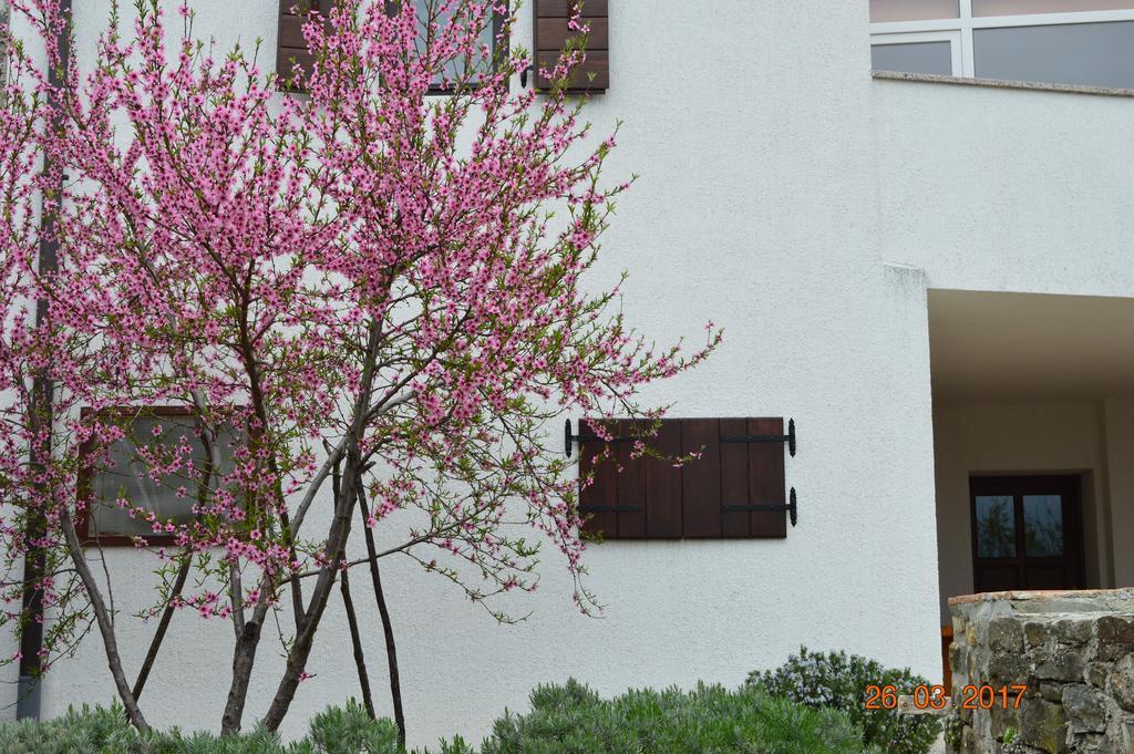 House Of Veli Joze Villa Motovun Ngoại thất bức ảnh